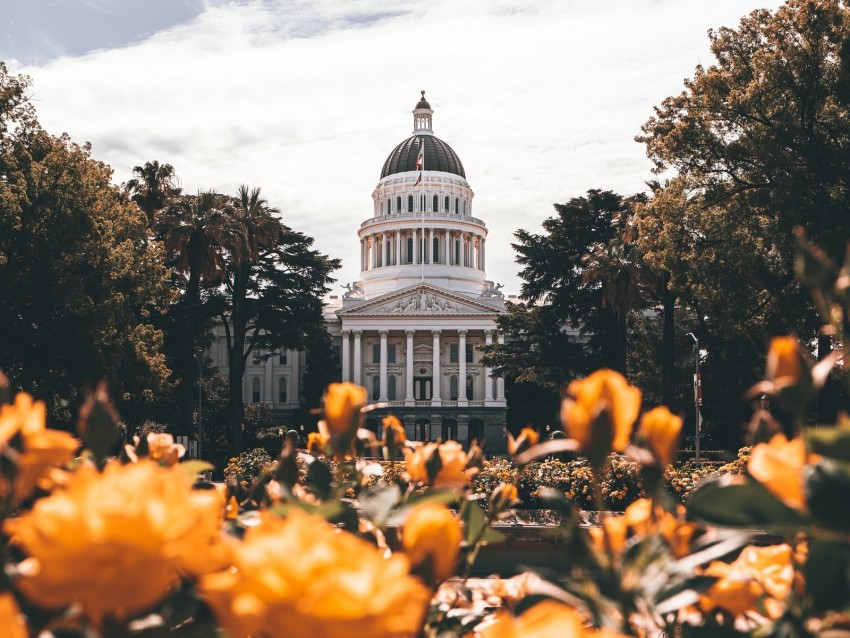 building, architecture, palace, dome, trees, flowers