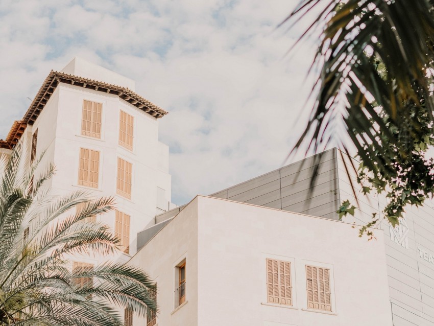 building, facade, architecture, white, palm trees