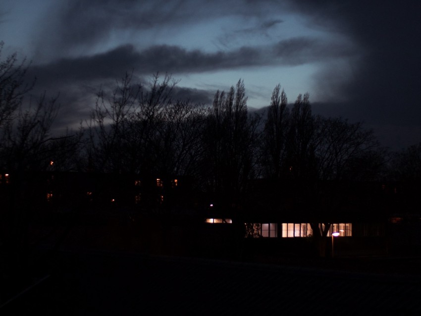 building, light, night, sky, trees, dark