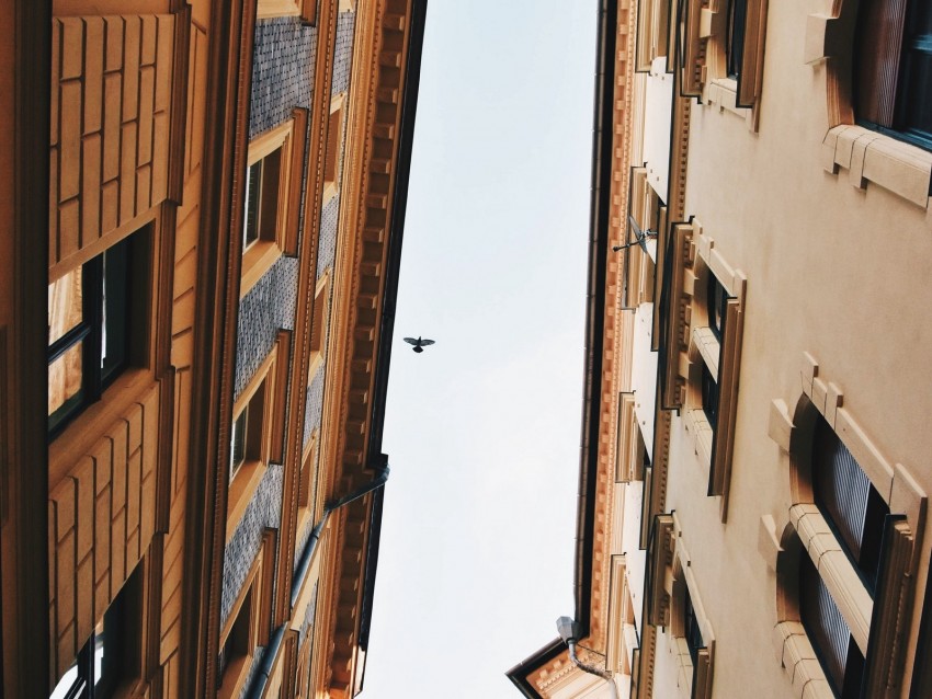 buildings, sky, bird, facades, architecture