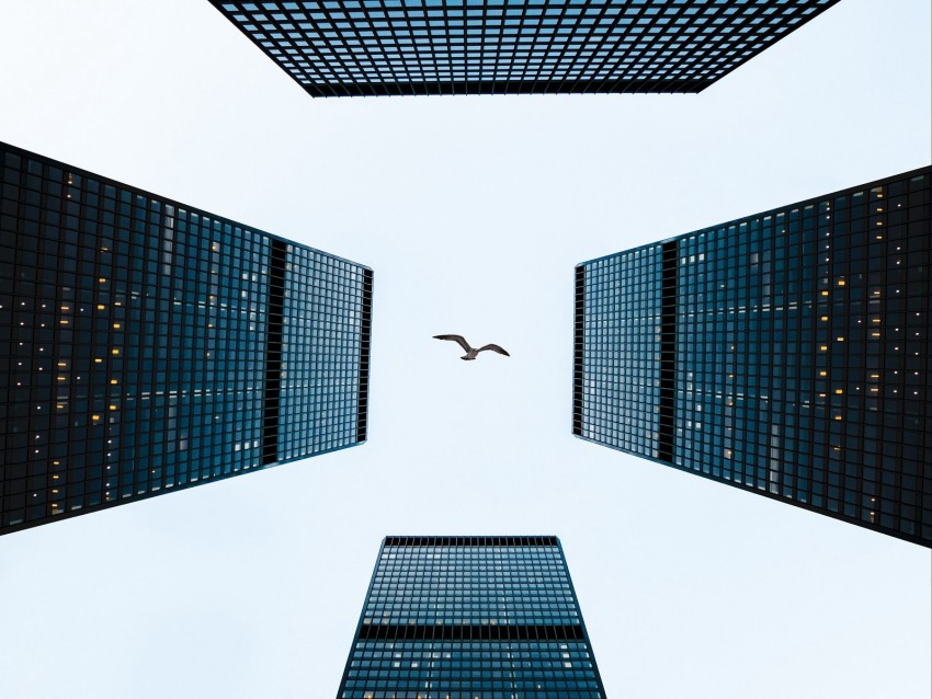 buildings, sky, bird, towers, skyscrapers, architecture