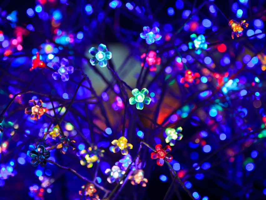 bulbs, flowers, neon, light, lighting, glare, bokeh