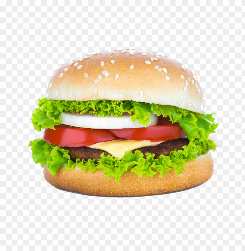 burger,food