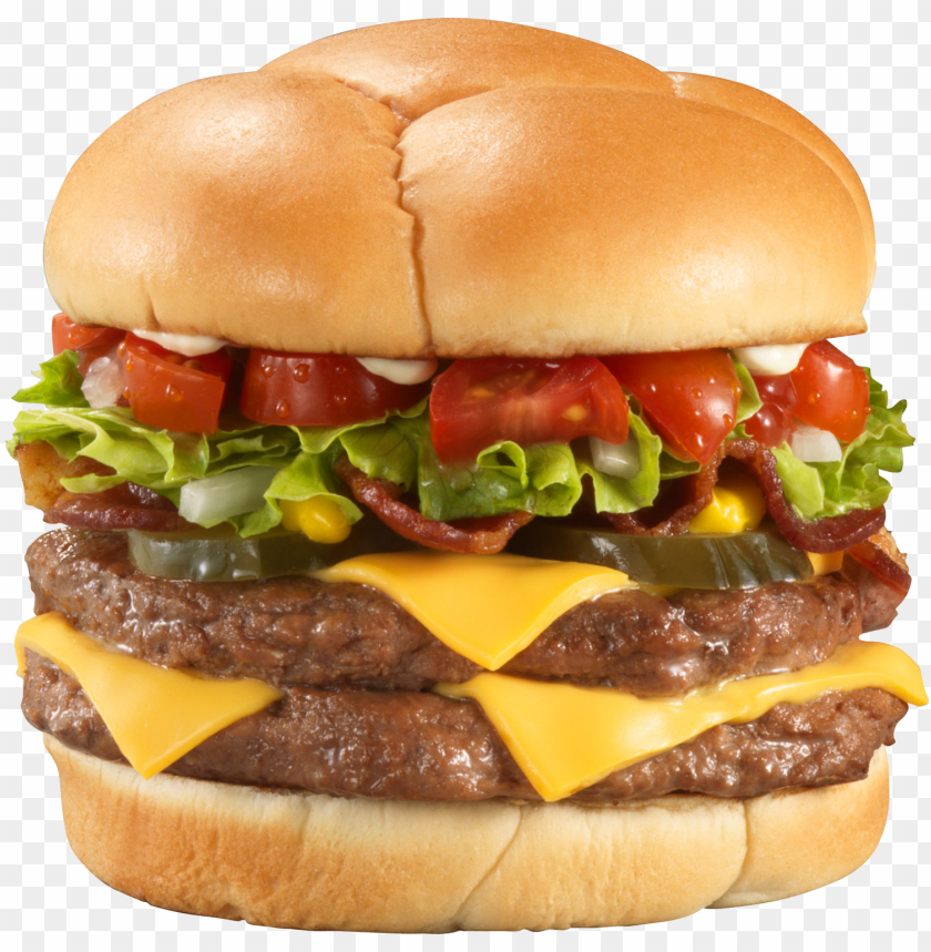 burger and sandwich, food, burger and sandwich food, burger and sandwich food png file, burger and sandwich food png hd, burger and sandwich food png, burger and sandwich food transparent png