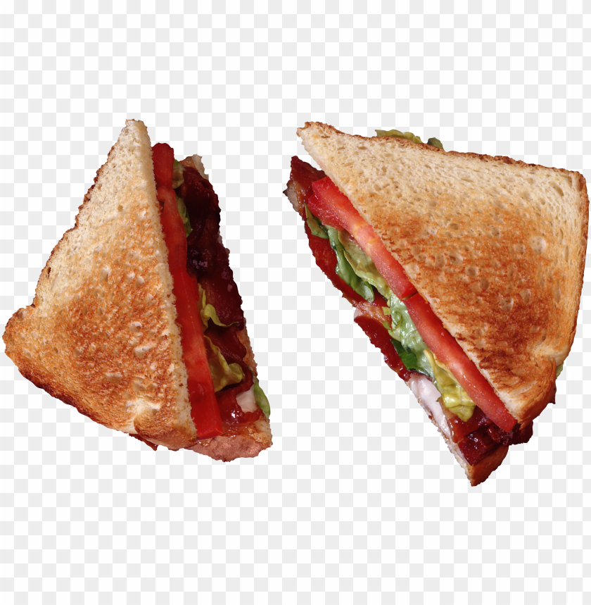 burger and sandwich, food, burger and sandwich food, burger and sandwich food png file, burger and sandwich food png hd, burger and sandwich food png, burger and sandwich food transparent png