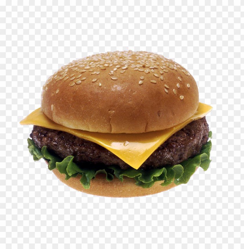 burger and sandwich, food, burger and sandwich food, burger and sandwich food png file, burger and sandwich food png hd, burger and sandwich food png, burger and sandwich food transparent png