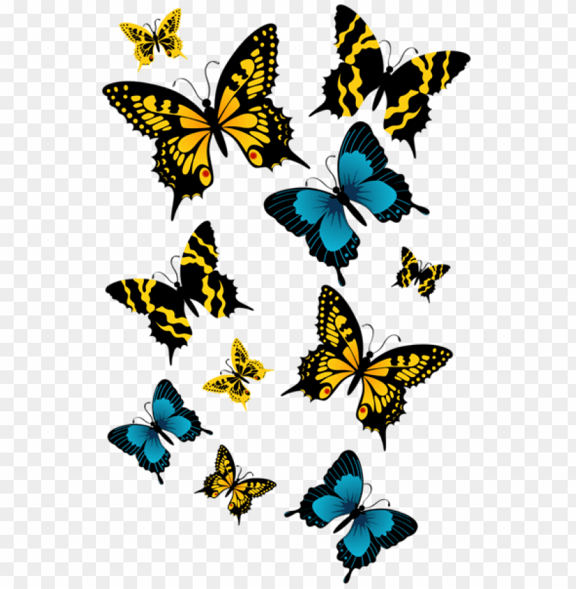 butterflies ,butterfly ,moth ,tortoiseshell