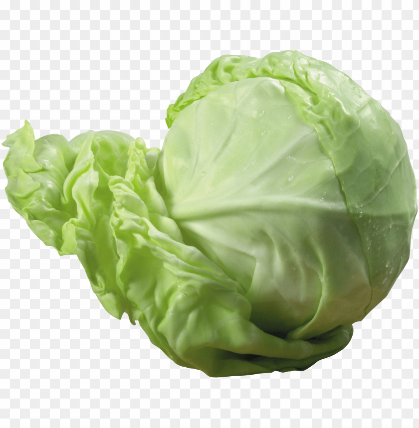 
cabbage
, 
plant
, 
vegetables
, 
green
