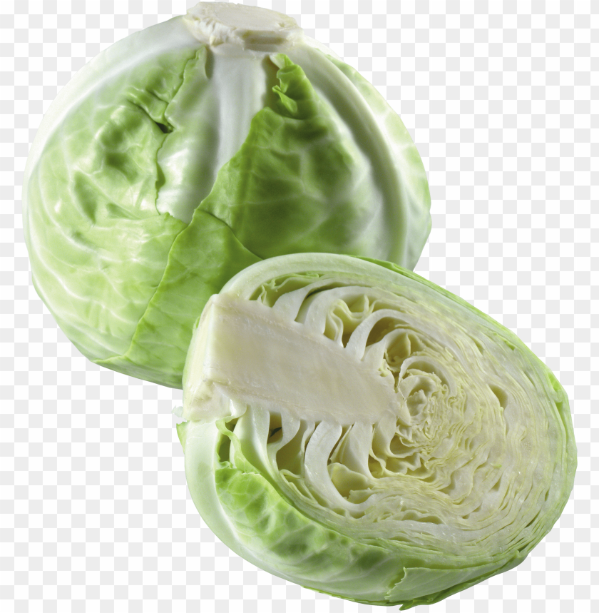 
cabbage
, 
plant
, 
vegetables
, 
green
