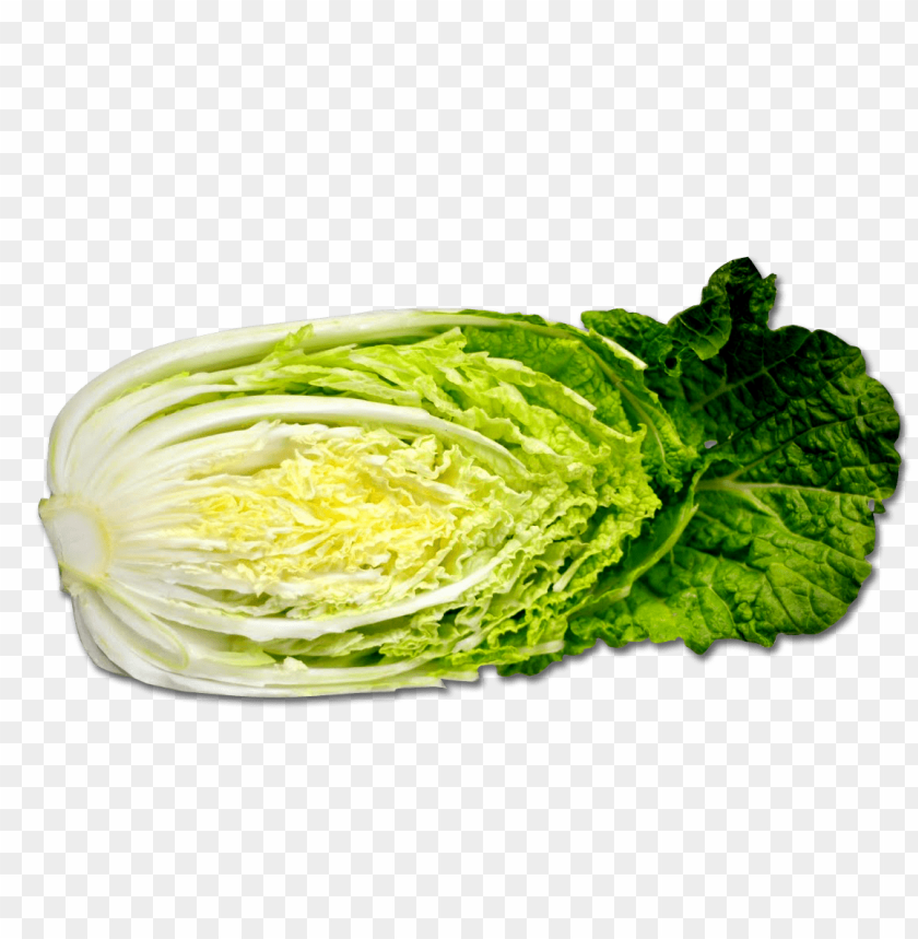 
cabbage
, 
plant
, 
vegetables
, 
green
