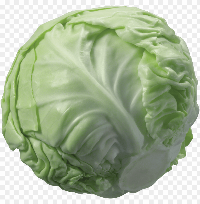 
cabbage
, 
plant
, 
vegetables
, 
green
