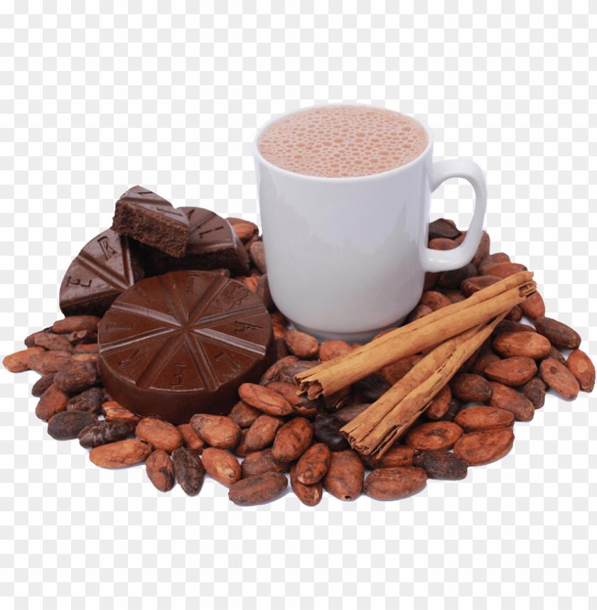 
cacao
, 
cacao bean
, 
cocoa
, 
theobroma cacao
