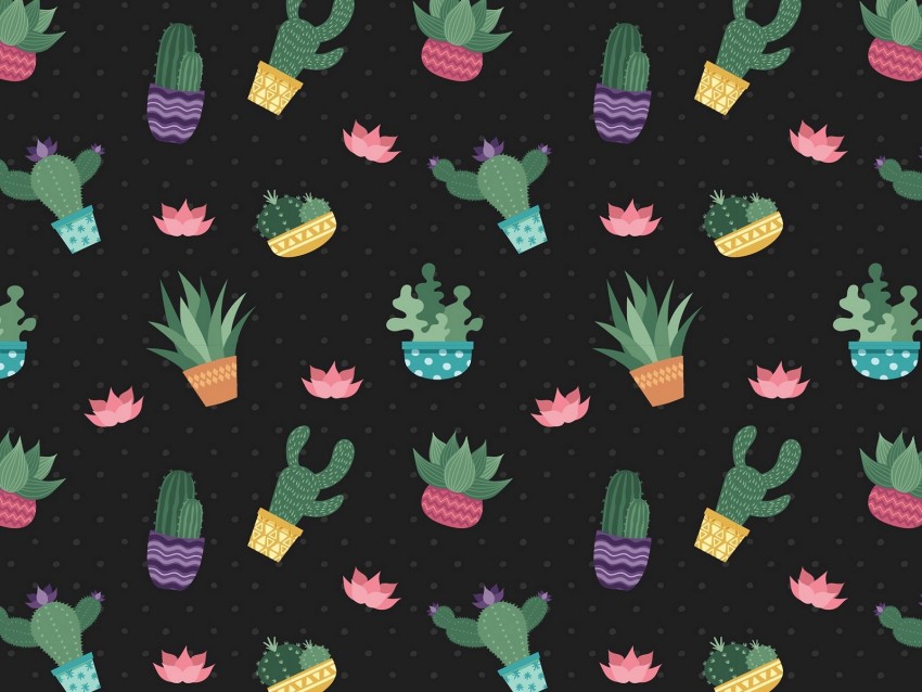 Cacti Flowers Pattern Art Background