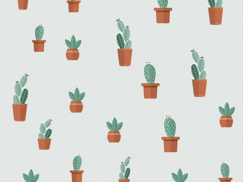 cacti, succulents, art, patterns