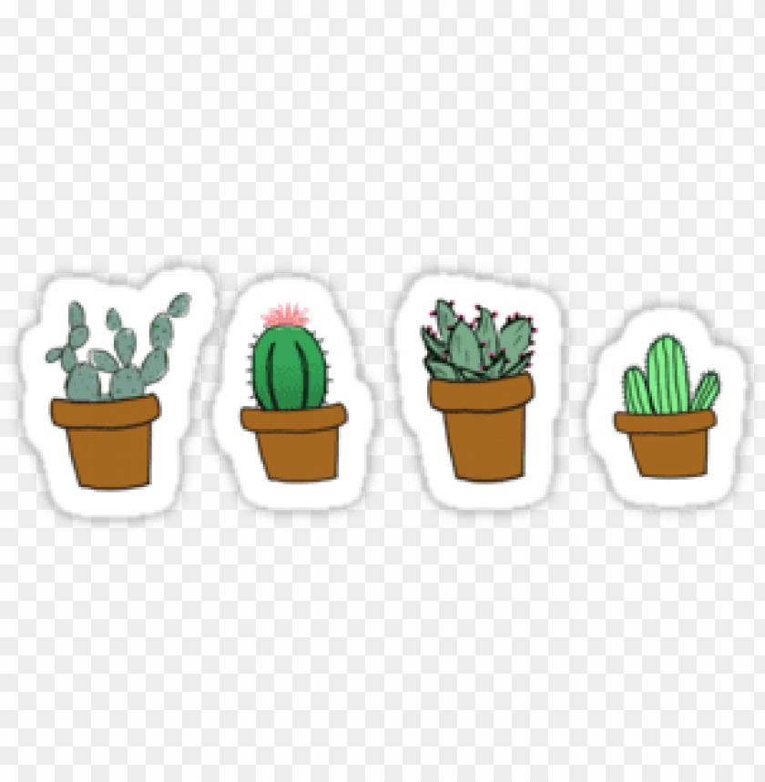 glasses, plant, facebook, cacti, background, planter, twitter