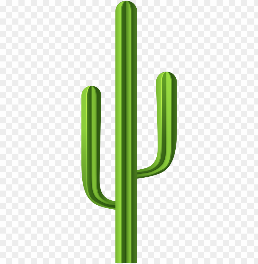 Green Cactus Illustration