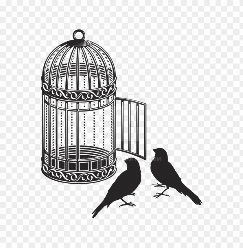 bird, birdcage, nature, wildlife, decor, silhouette, ornamental