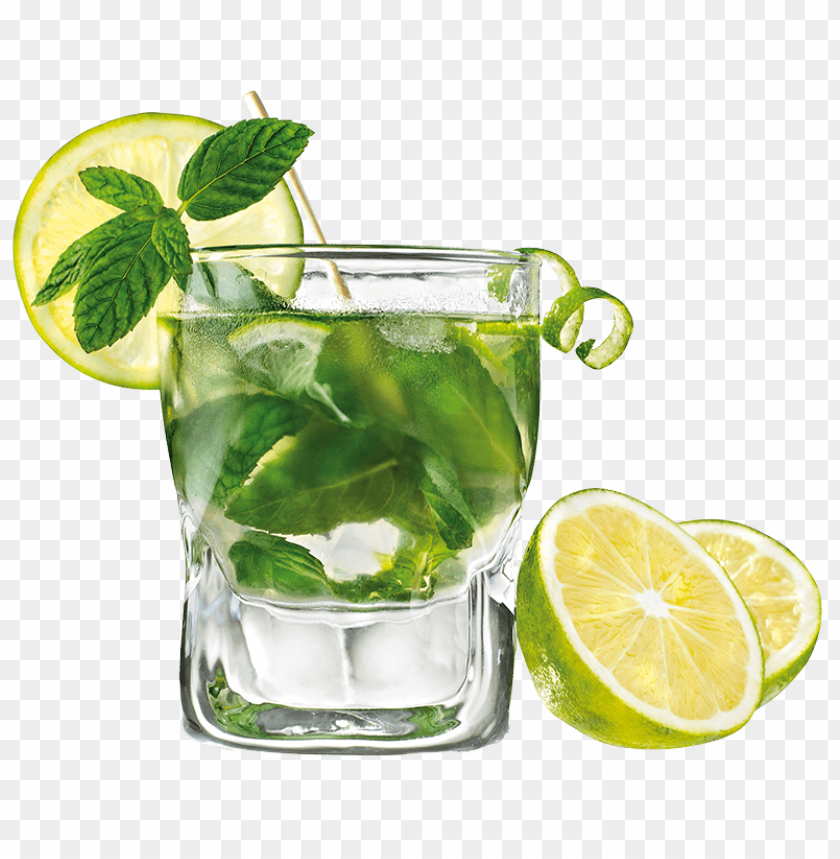 refreshing drink, lime, mint leaves, cocktail glass, citrus beverage, green herbs, summer refreshment