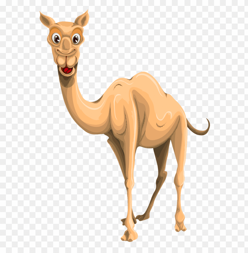 camel,camel free png,camel png free,camel free png,camel png,camel images png,camel file png