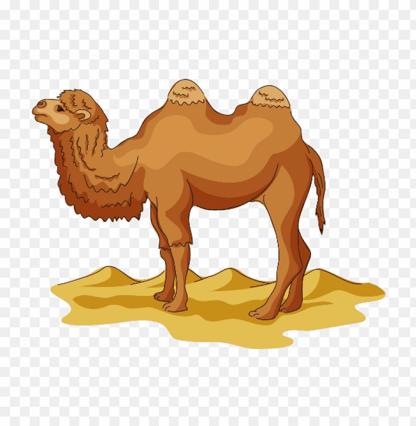 camel,camel free png,camel png free,camel free png,camel png,camel images png,camel file png