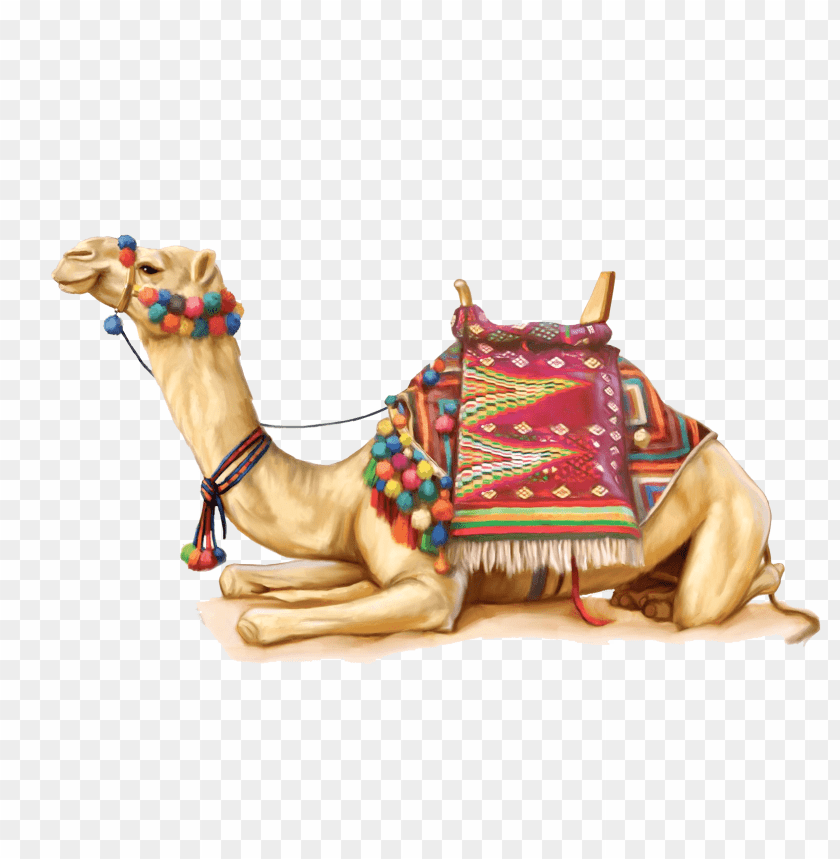 camel,camel free png,camel png free,camel free png,camel png,camel images png,camel file png