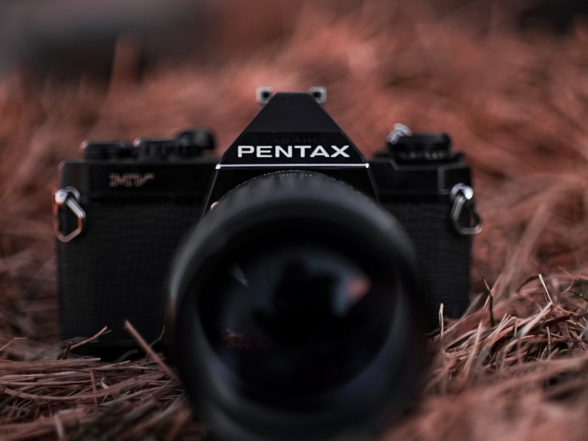 camera, lens, blur, photo, grass