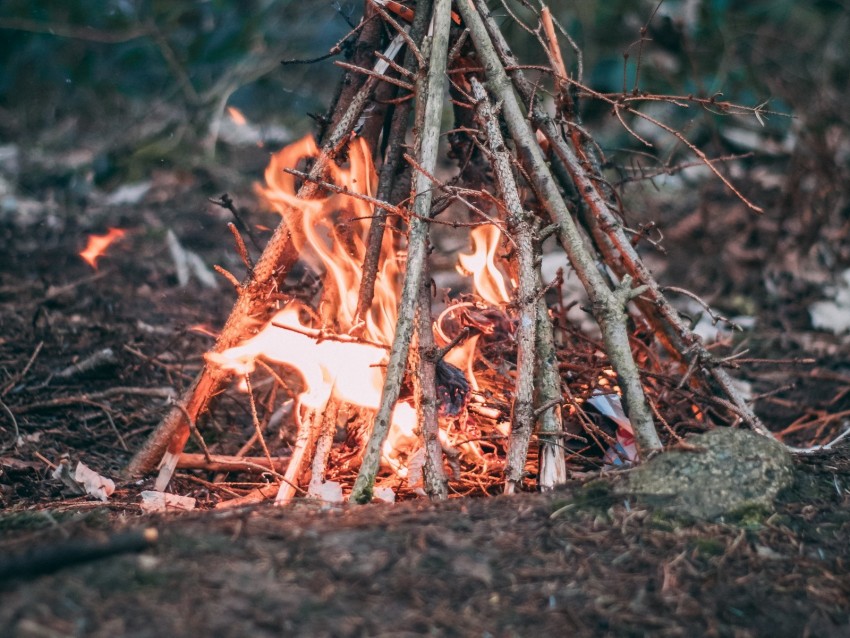 Campfire Branches Fire Camping Background