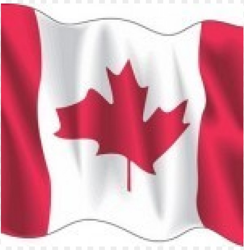 Canada Wave Flag Vector Download Free PNG Transparent Background