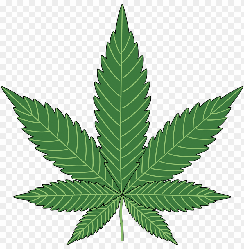 
cannabis
, 
plant
, 
cannabaceae
, 
medicinal
