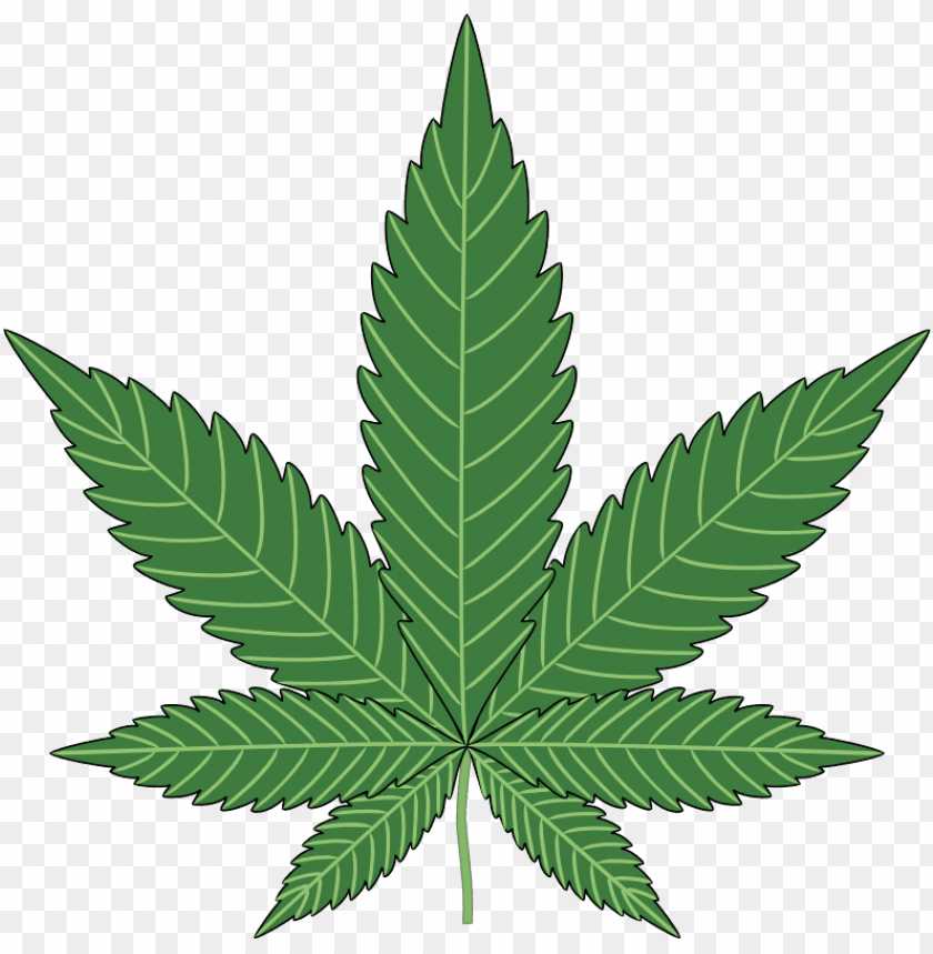 
cannabis
, 
plant
, 
cannabaceae
, 
medicinal
