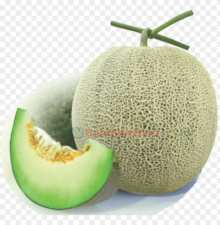 cantaloupe png, png,cantaloupe,cantaloup