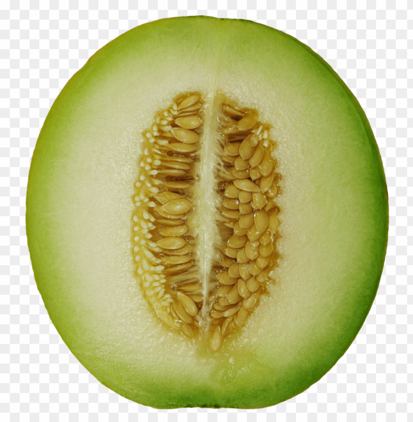 cantaloupe png, png,cantaloupe,cantaloup