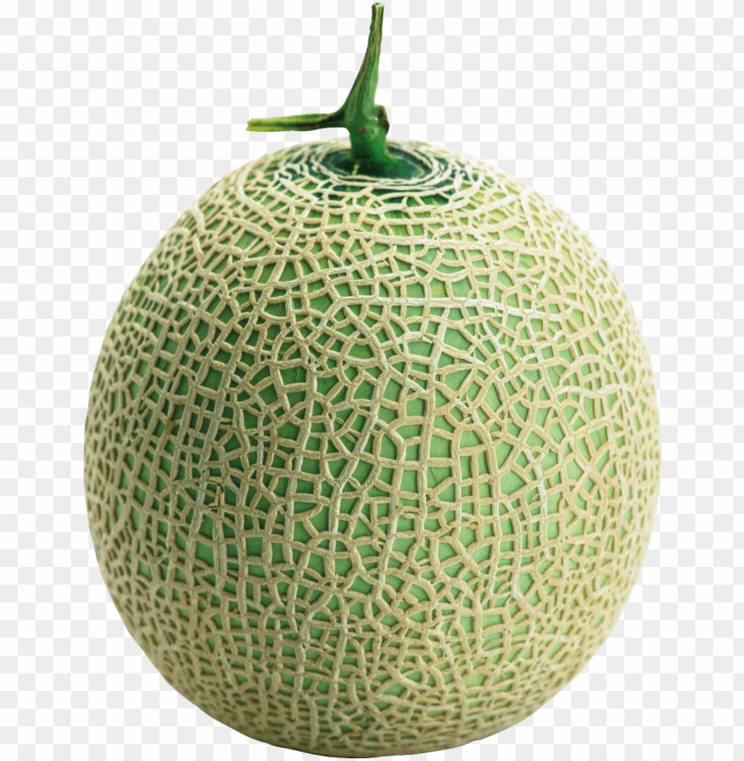 cantaloupe png, png,cantaloupe,cantaloup