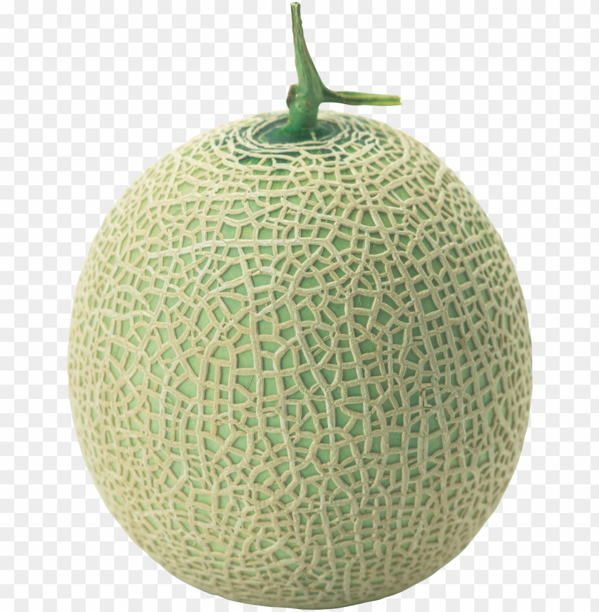 cantaloupe png, png,cantaloupe,cantaloup