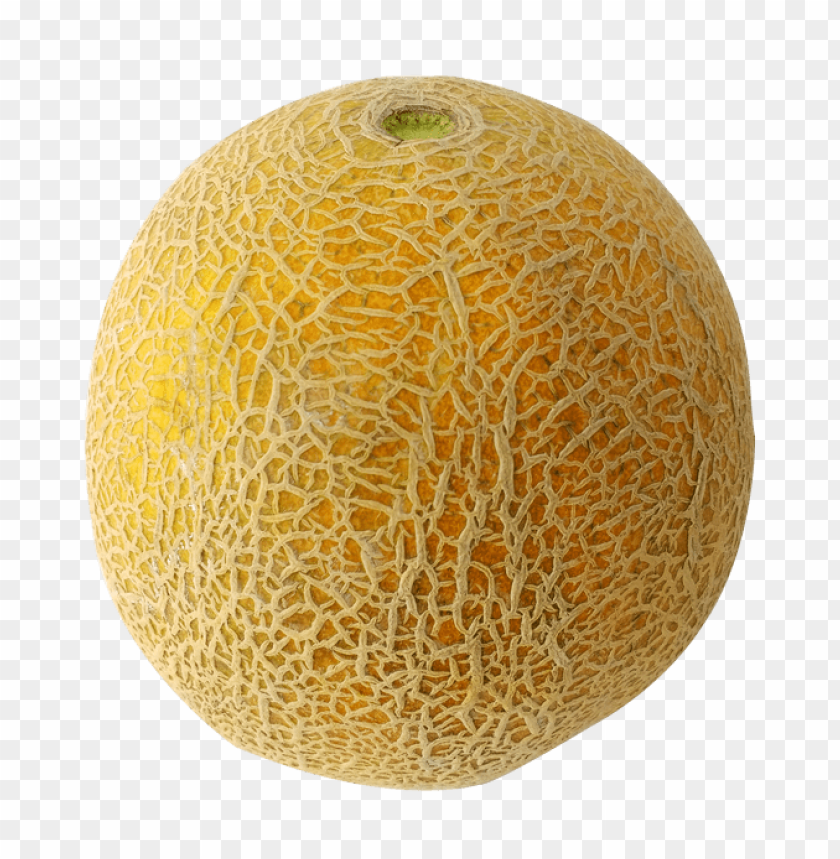 cantaloupe png, png,cantaloupe,cantaloup