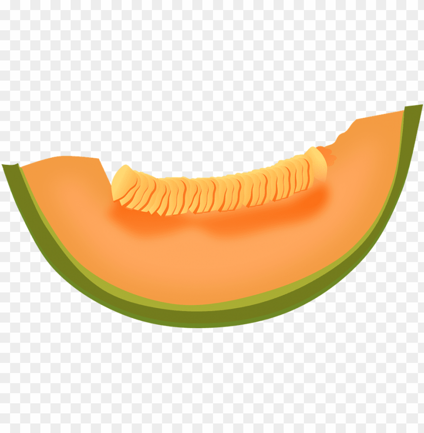 cantaloupe png, png,cantaloupe,cantaloup