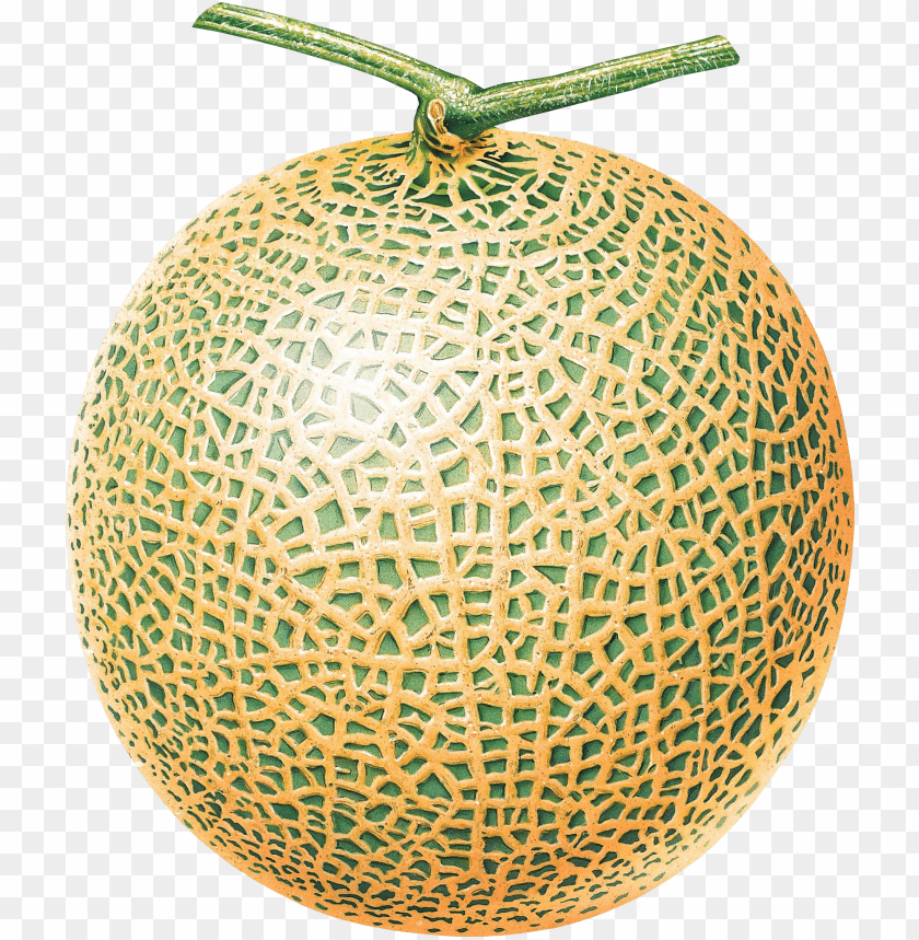 cantaloupe png, png,cantaloupe,cantaloup