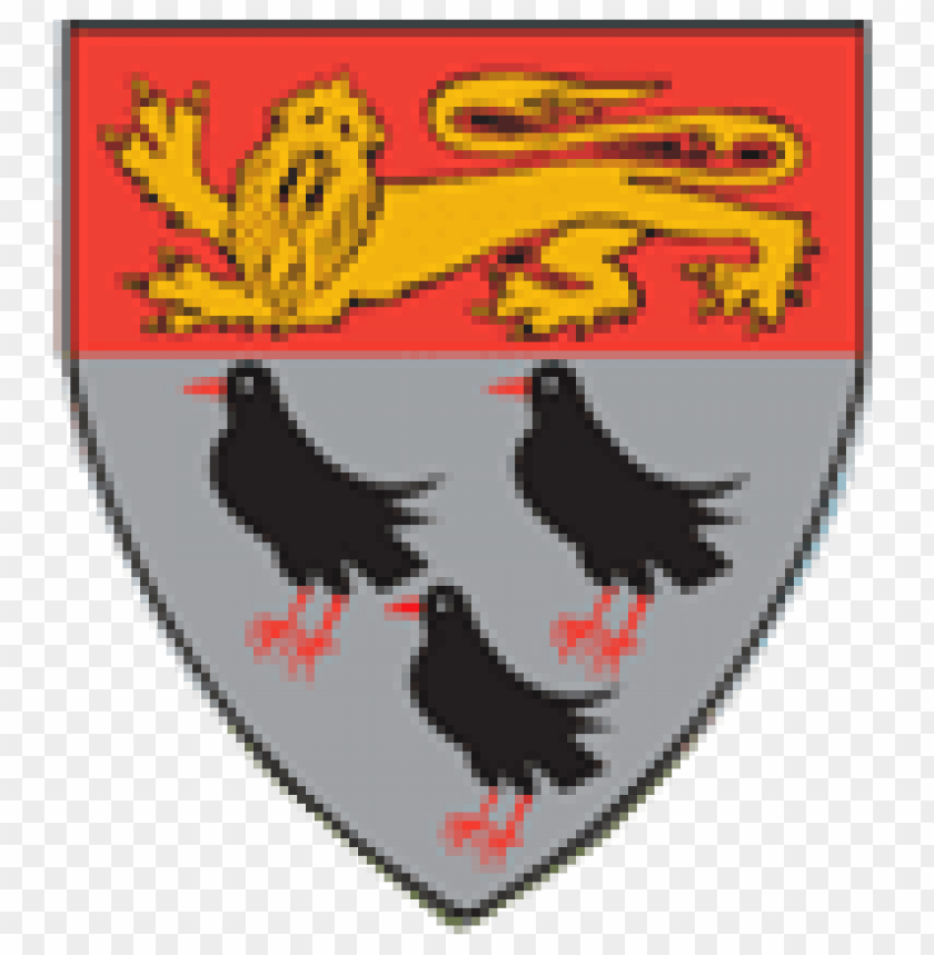 sports, rugby teams, canterbury rfc rugby logo, 