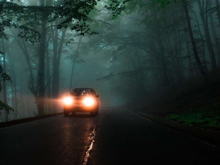 Car Headlights Fog Lights Trees Road Background