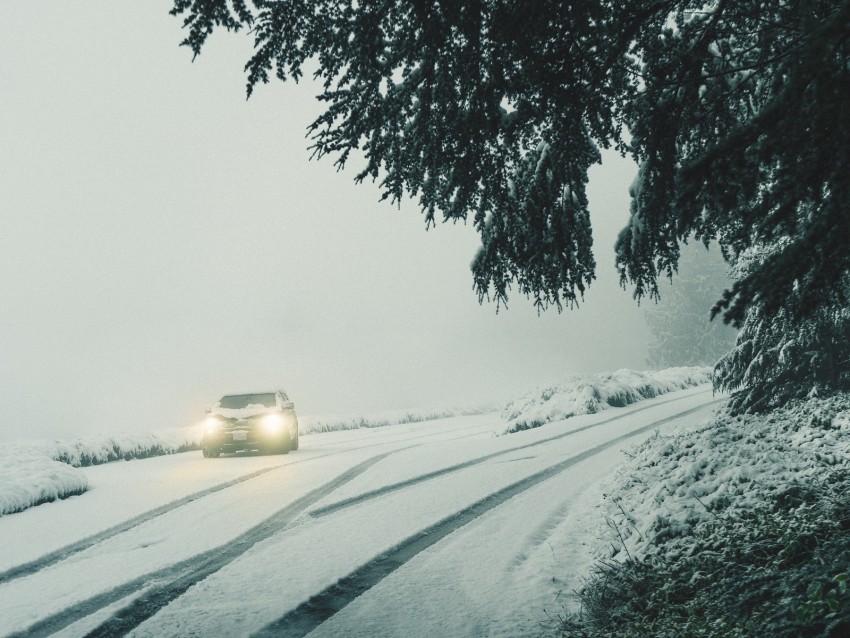 Car Lights Snow Fog Branches Winter Background