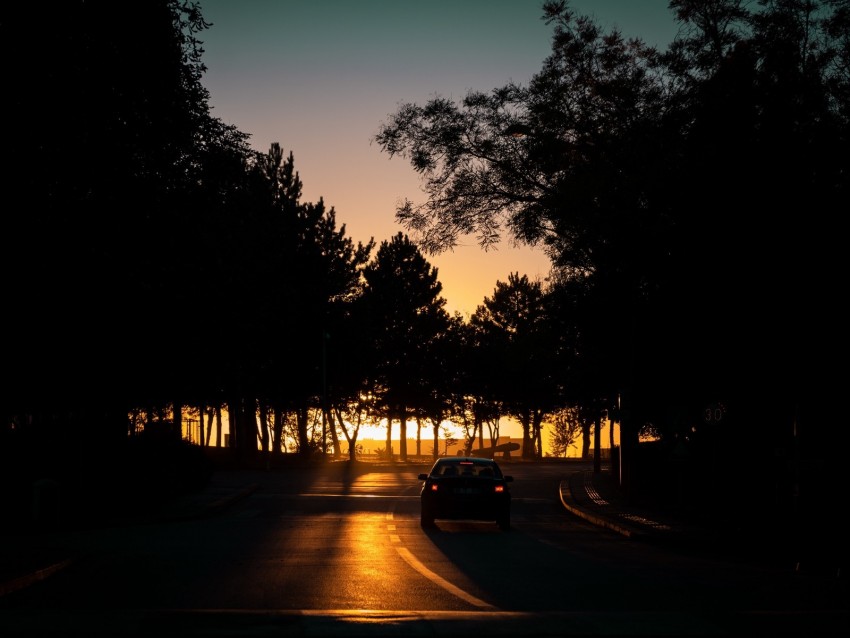 sunset drive, silhouette trees, evening road, tranquil scenery, car silhouette