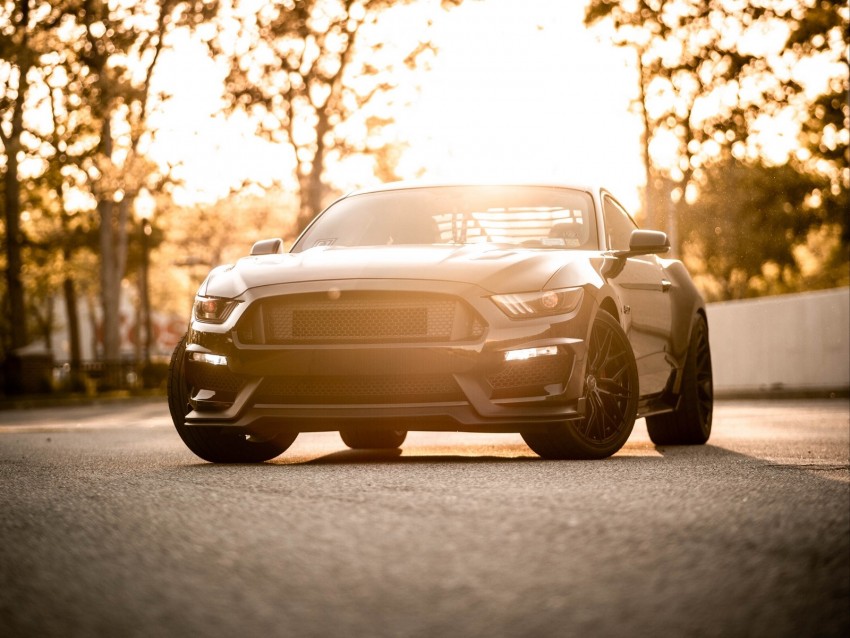 car, sportscar, black, front view, coupe, asphalt, sunlight