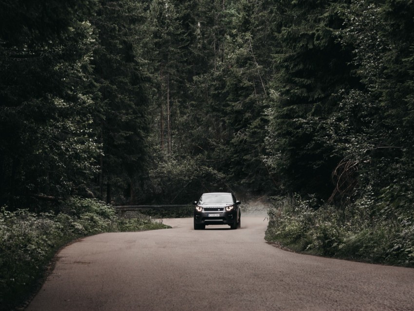 car, suv, forest, road, mountains