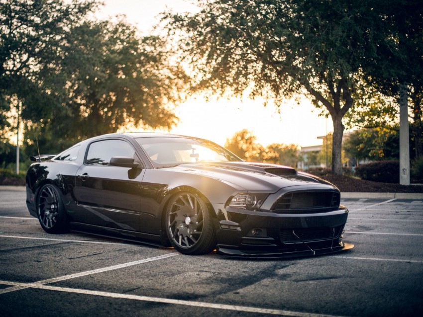 car, tuning, black, side view, sunlight