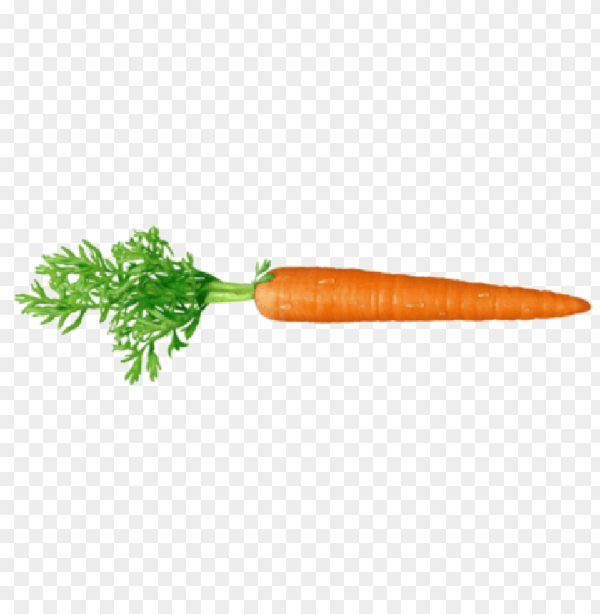 vegetables, carrot, root vegetable,الخضروات , الجزر , الجذر النباتي
