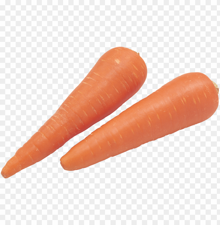 
carrot
, 
domestic carrot
, 
fast-growing
, 
carrots
