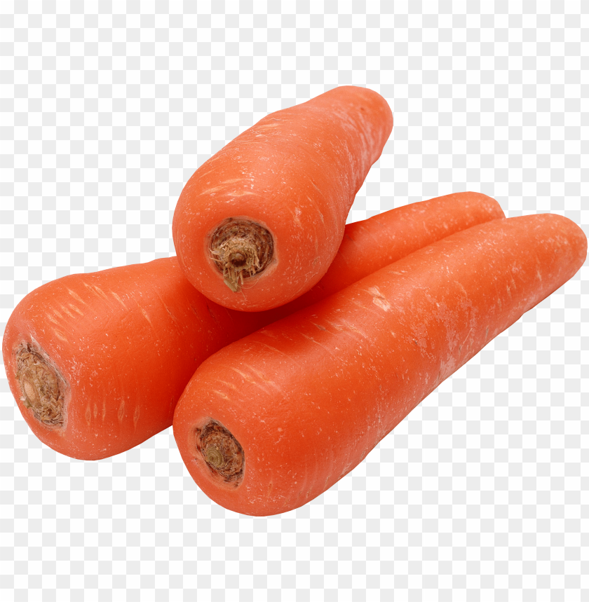 
carrot
, 
domestic carrot
, 
fast-growing
, 
carrots
