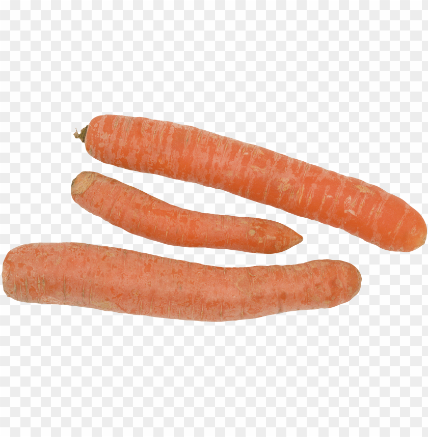 
carrot
, 
domestic carrot
, 
fast-growing
, 
carrots
