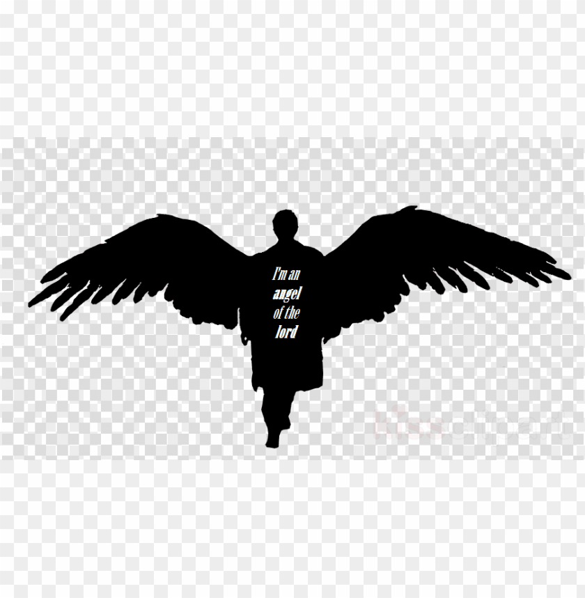 angel wings, angel wings clipart, bird wings, black angel wings, castiel, angel wings vector