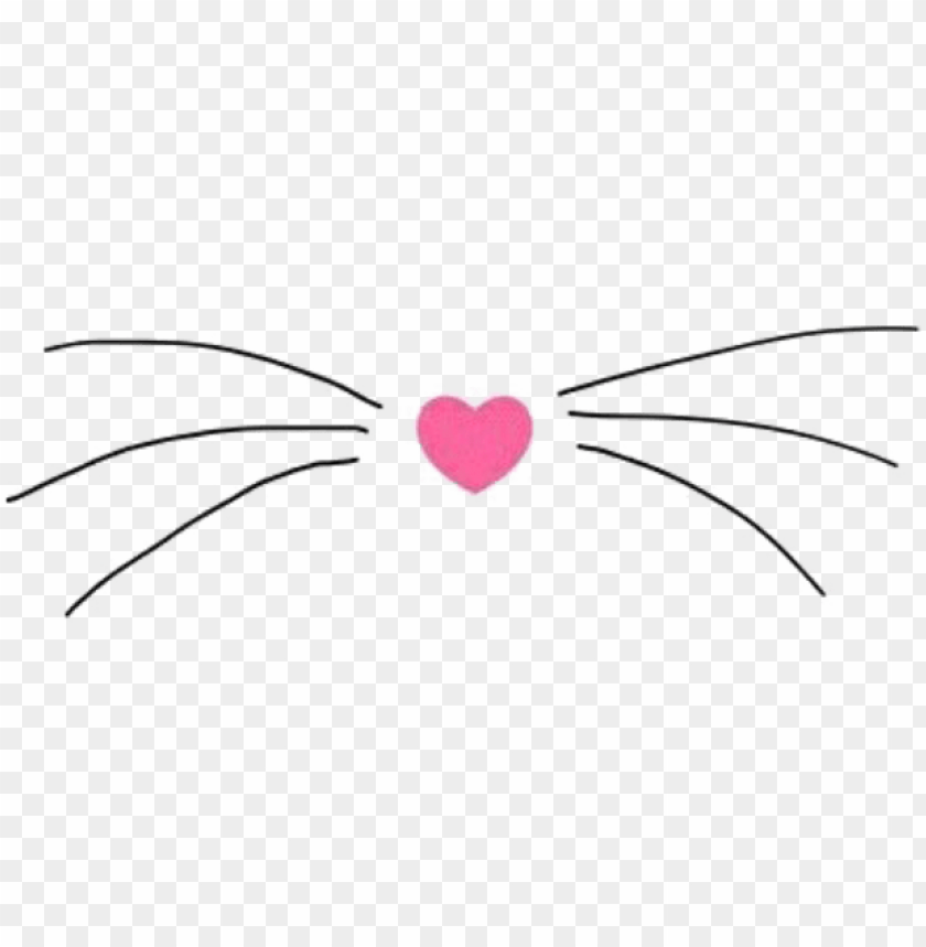 Cat PNG Transparent Background